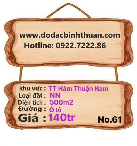 Đất sào TT Hàm Thuận Nam 