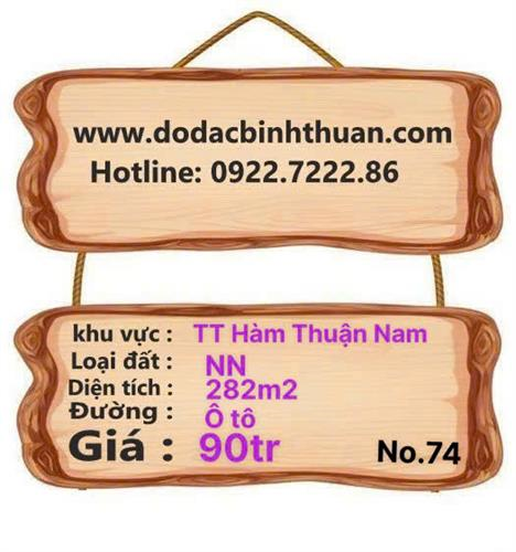 Đất sào TT Hàm Thuận Nam 