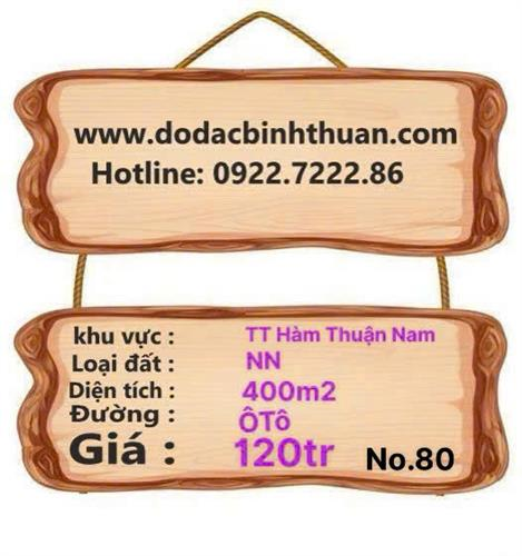 Đất sào TT Hàm Thuận Nam 