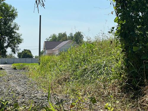 đất nền xã mỹ lệ