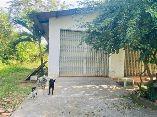 BÁN NHÀ VƯỜN 356m²