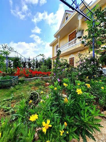 Cơ hội sở hữu nhà cực đẹp tại Phường 11 – TP. Đà Lạt