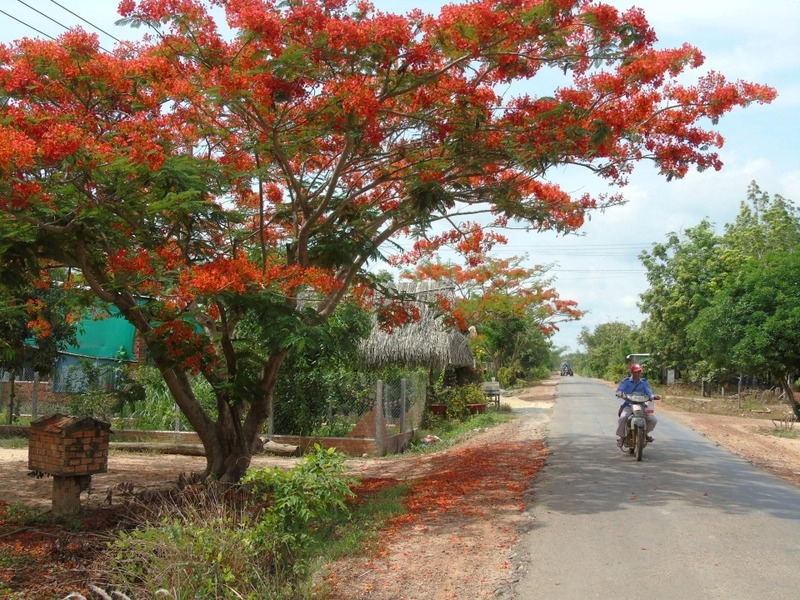 Nhận Đo Đạc Địa Chính – Đo Vẽ Hiện Trạng, Hoàn Công Nhanh Xã Xuyên Mộc | Dodacbinhthuan.com