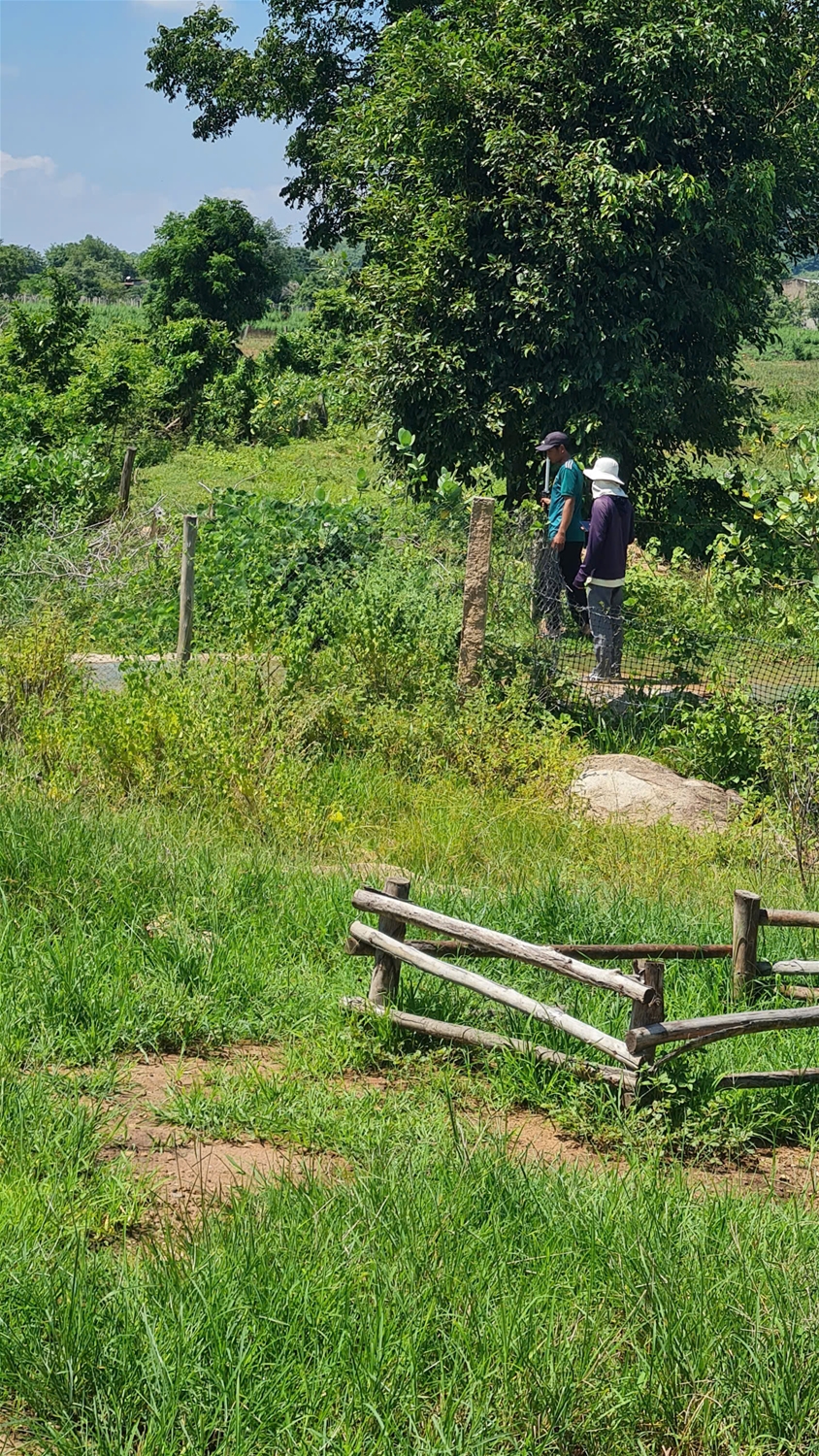 đo đạc hồ chí minh , đo đạc vũng tàu
