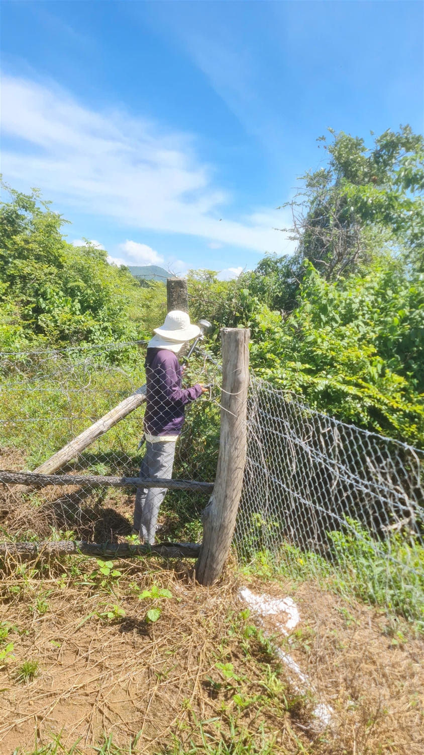 đo đạc hồ chí minh , đo đạc vũng tàu
