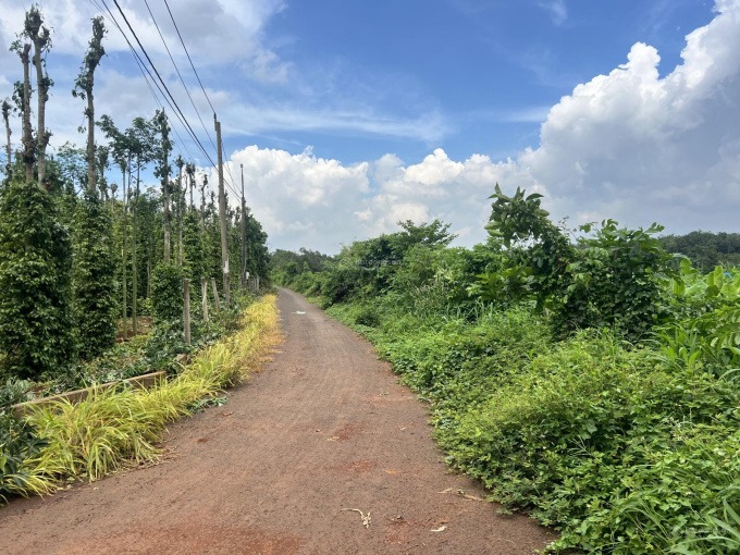 đo đạc Hồ Chí Minh - đo đạc Vũng Tàu