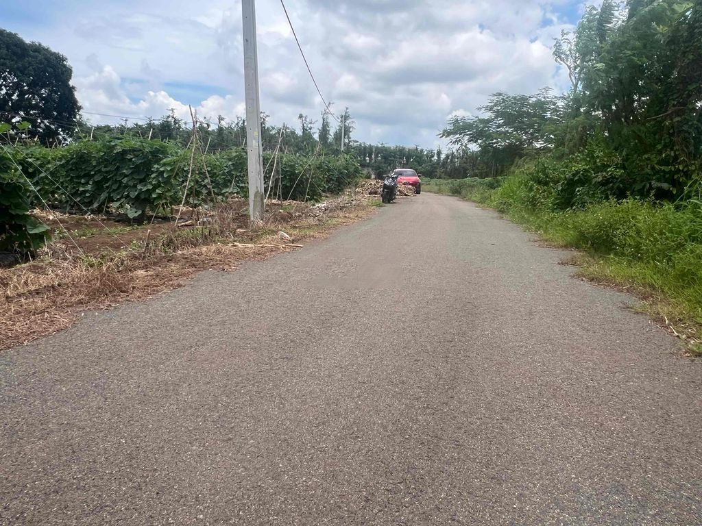 đo đạc Hồ Chí Minh - đo đạc Vũng Tàu